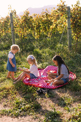 Pic nic outdoor storage bag, children are sitting and playing on the mat outside, other child is standing aside