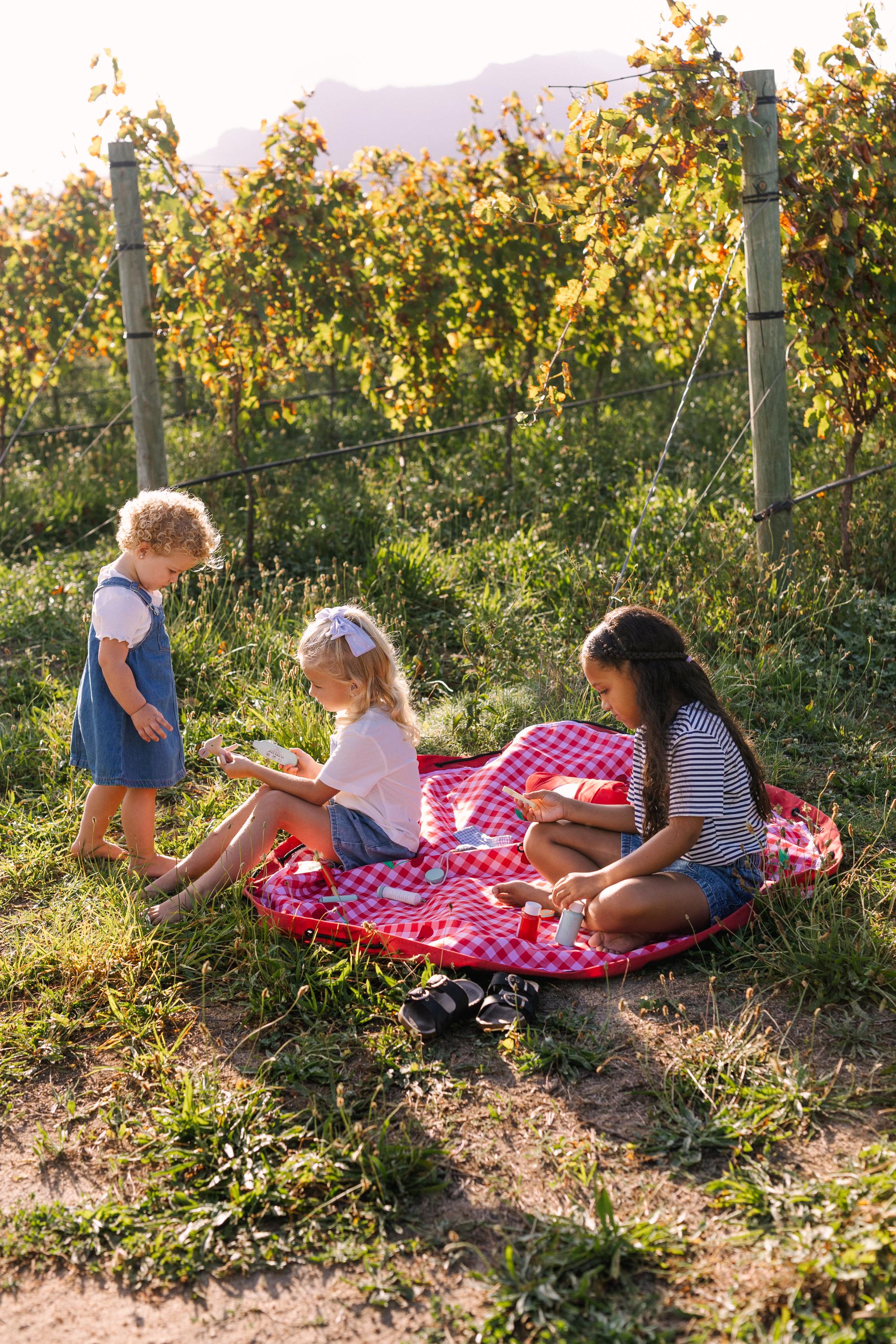 Pic nic outdoor storage bag, children are sitting and playing on the mat outside, other child is standing aside