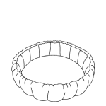 kokos