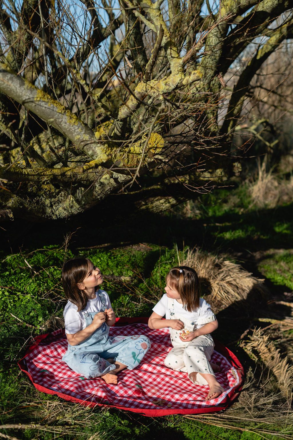 pic nic outdoor playmat, children are sitting outside on a playmat under a big tree