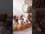 organic babyspeelkleed & cocon - mustard